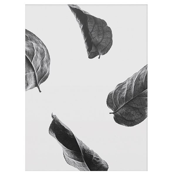 Paper Collective Floating Leaves 02 Juliste A3