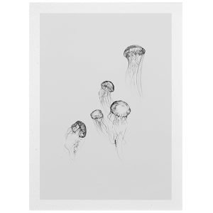 Paper Collective Jellyfish Juliste