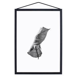 Paper Collective Juliste Floating Leaves 01 A3