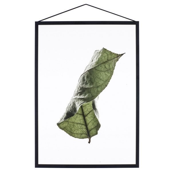 Paper Collective Juliste Floating Leaves 04 A5