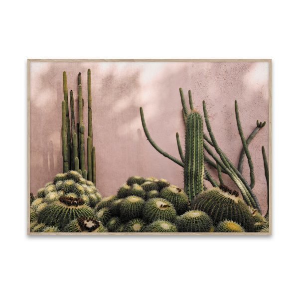 Paper Collective Juliste Plants On Pink 50x70 Cm