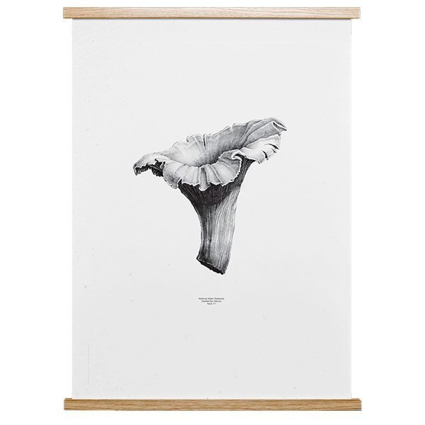 Paper Collective Nature 1:1 Chanterelle Juliste Pale White