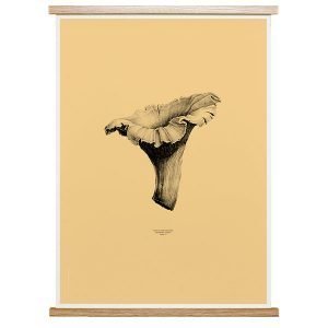 Paper Collective Nature 1:1 Chanterelle Juliste Pale Yellow