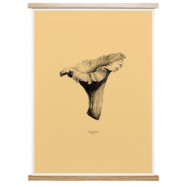 Paper Collective Nature 1:1 Chanterelle Juliste Pale Yellow