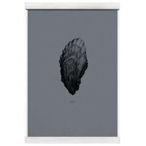 Paper Collective Nature 1:1 Oyster Juliste Black Pearl