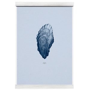 Paper Collective Nature 1:1 Oyster Juliste Ocean Blue