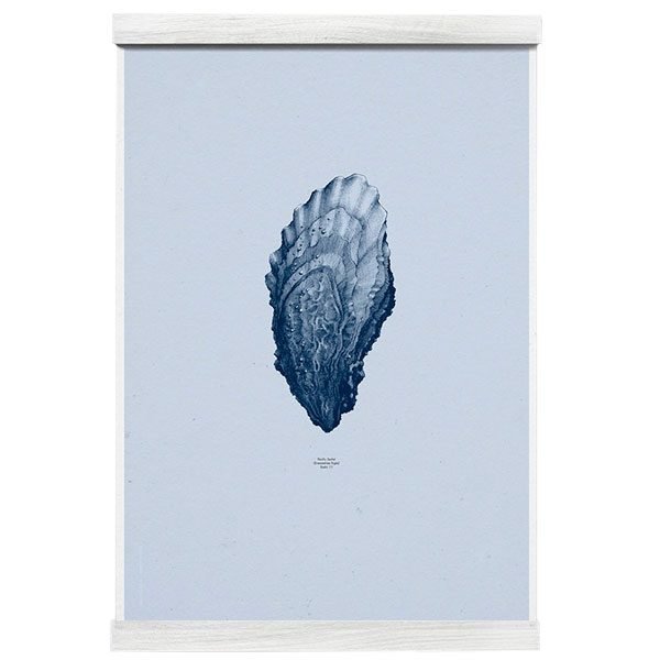 Paper Collective Nature 1:1 Oyster Juliste Ocean Blue