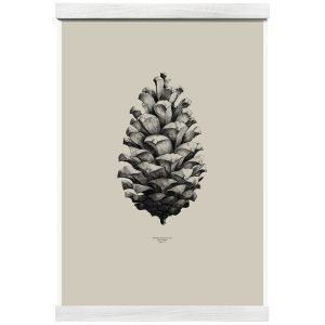 Paper Collective Nature 1:1 Pine Cone Juliste Beige