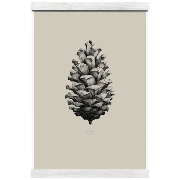Paper Collective Nature 1:1 Pine Cone Juliste Beige