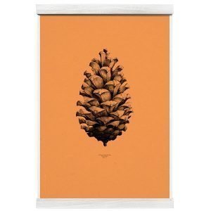 Paper Collective Nature 1:1 Pine Cone Juliste Forest Orange