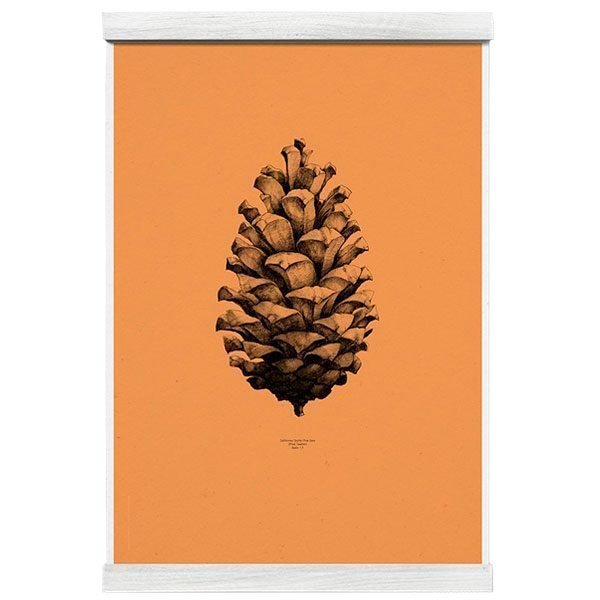 Paper Collective Nature 1:1 Pine Cone Juliste Forest Orange