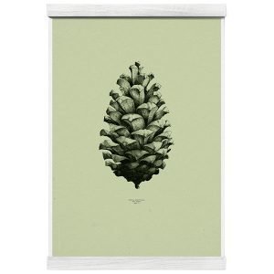 Paper Collective Nature 1:1 Pine Cone Juliste Light Forest Green