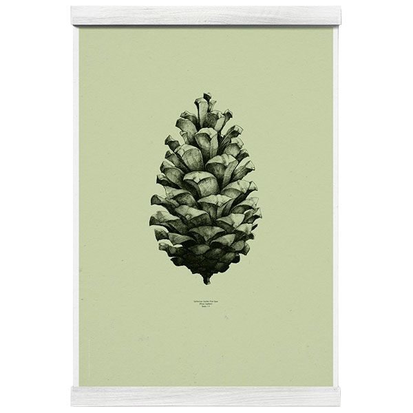 Paper Collective Nature 1:1 Pine Cone Juliste Light Forest Green