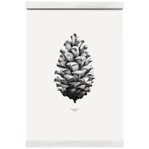 Paper Collective Nature 1:1 Pine Cone Juliste Valkoinen