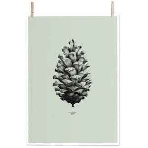 Paper Collective Nature 1:1 Pine Cone Juliste Vihreä