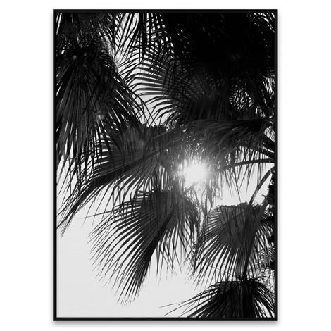 Paper Collective Palm Trees Juliste 50x70 cm