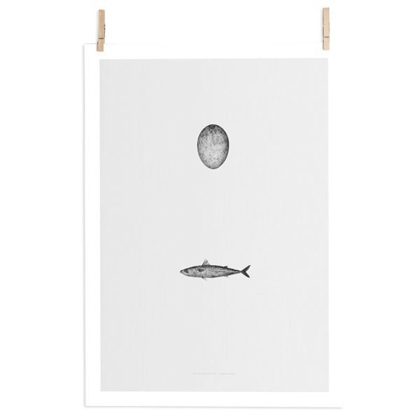 Paper Collective Swedish Mackerel Juliste