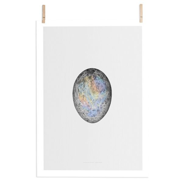 Paper Collective Translucent Egg Juliste