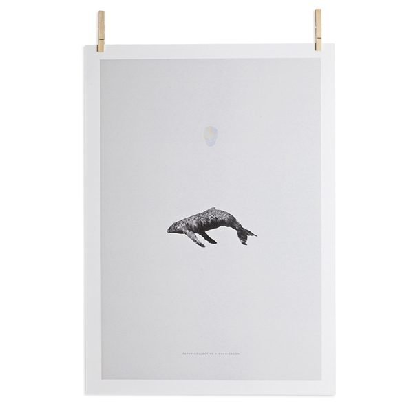 Paper Collective Whale Reprise Juliste 50x70 Cm