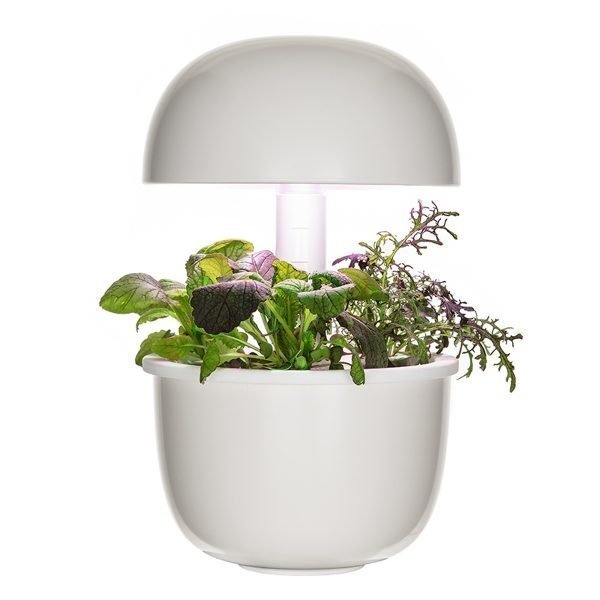 Plantui Smart Garden 3e Pienoiskasvihuone Valkoinen