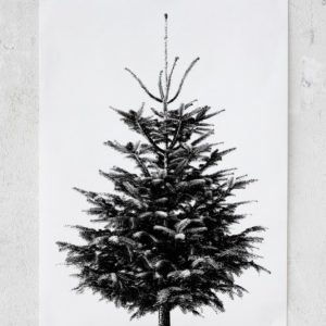 Rebel Walls Christmas Tree Juliste 50x70 Cm