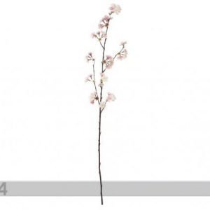 Shishi Tekokukka Kirsikanoksa Roosa-Valkoinen 105 Cm