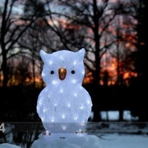 Star Trading Akryylihahmo Owl 43 Cm