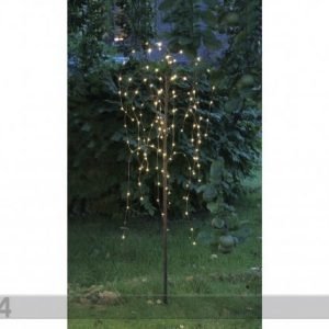 Star Trading Koristepuu Valoilla Paju 110 Cm Led