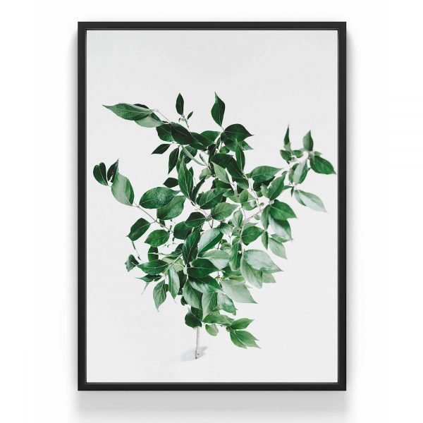 The Nordic Poster Citrus Leaf Juliste Vihreä 30x40 Cm