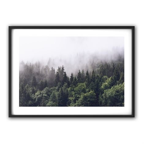 The Nordic Poster Forest Juliste 50x70 cm