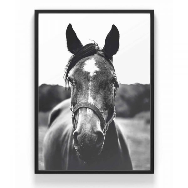 The Nordic Poster Horse Face Juliste Harmaa 30x40 Cm