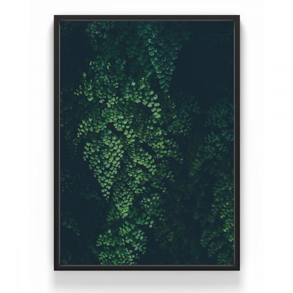 The Nordic Poster Leaf Wall Juliste Vihreä 50x70 Cm