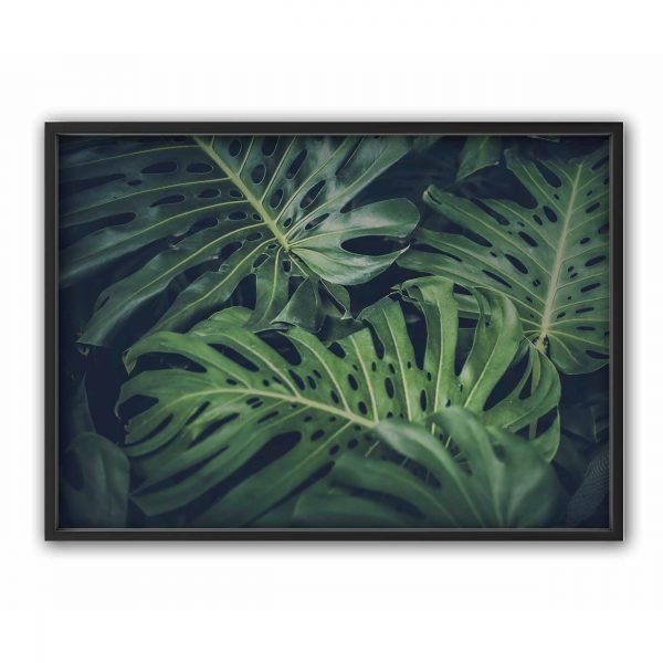 The Nordic Poster Monstera Juliste Vihreä 30x40 Cm