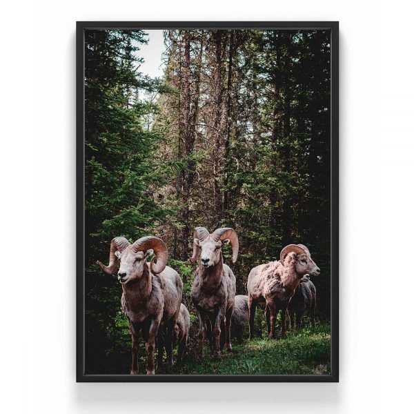 The Nordic Poster Mountain Goat Juliste Vihreä 30x40 Cm