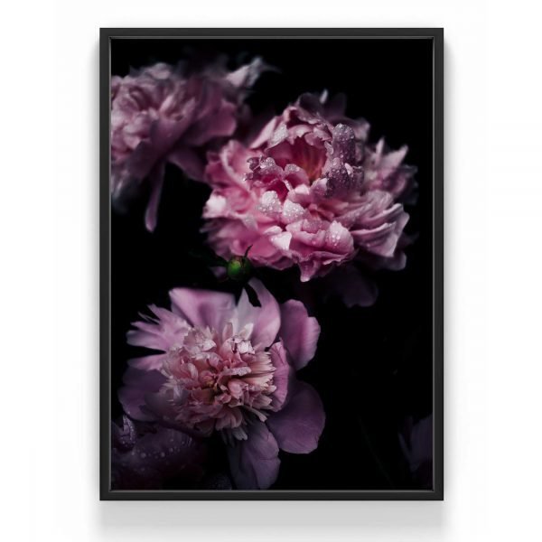 The Nordic Poster Peony Juliste Roosa 30x40 Cm