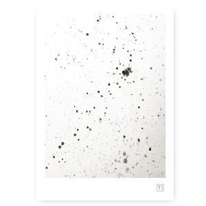 Wallstuff Dalmatin Juliste 50x70 Cm